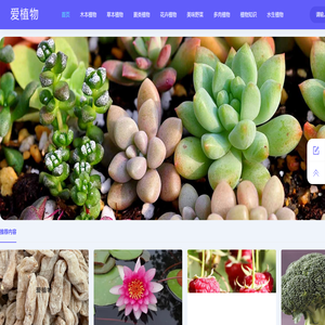 认识你想了解的植物