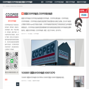 COOPER轴承