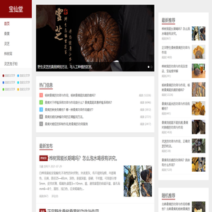 白桦茸