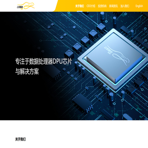 云豹智能【云豹智能】专注于云计算和数据处理器DPU芯片与解决方案