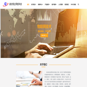 湖北程达网络科技有限公司