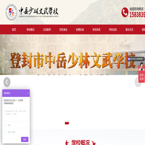 登封市中岳少林文武学校【官网】
