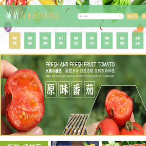 种植行业振兴供销链