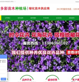 青州市多彩苗木种植场