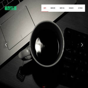 成都植智先锋网络品牌广告设计网