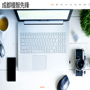 成都植智先锋品牌策划设计类网
