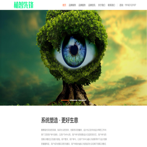 成都植智先锋品牌策划设计网站