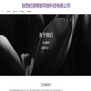 陕西时源南智网络科技有限公司