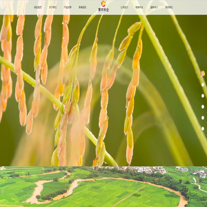 方正家中米业有限责任公司官网,方正大米,宋府大院,方宇牌大米