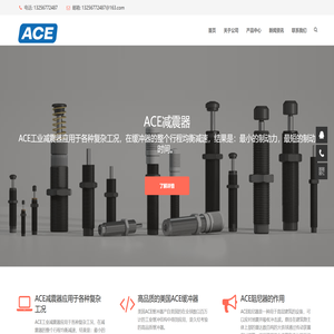 ACE阻尼器