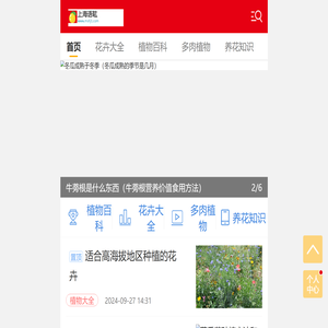 上海语耾信息科技有限公司