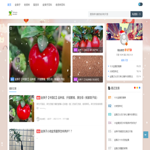 金弹子网