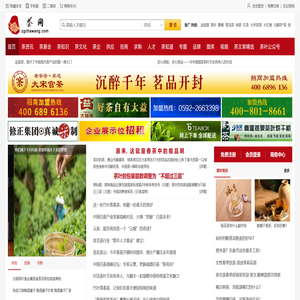 茶网