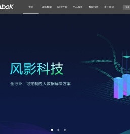 风影科技股份有限公司