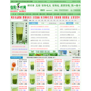 信阳毛尖