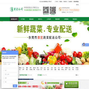 蔬菜配送公司