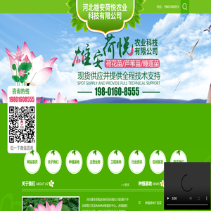 河北雄安荷悦农业科技有限公司