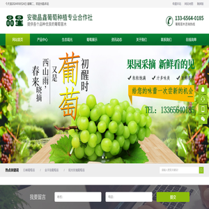 安徽晶鑫葡萄网