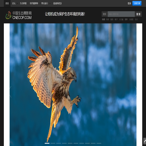 中国生态摄影网