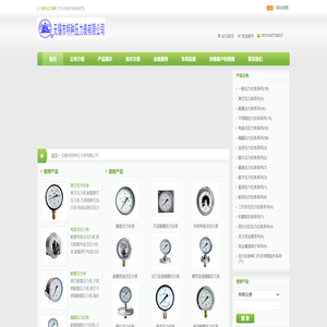 30年压力表行业领航者,压力表生产厂家