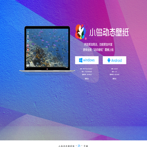 小鸟动态壁纸官网