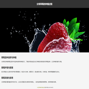 分享草莓的种植过程