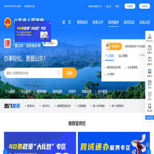 山东省政务服务网