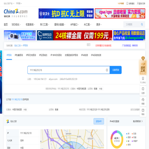 IP/IPV6查询