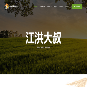 江洪大叔