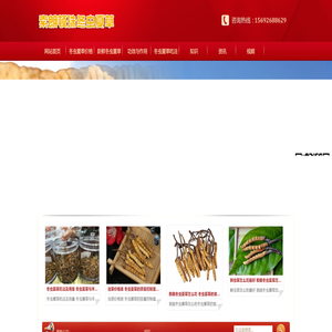 冬虫夏草的功效与作用及食用方法