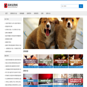 宠物网