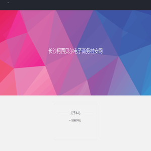 长沙柯西贝尔电子商务村安网