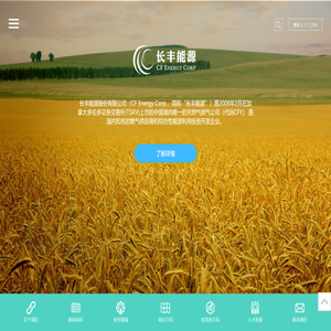 长丰能源（股票代码CFY）