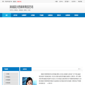 小叶榕,九重葛,叶子花,榕树桩头,多彩三角梅