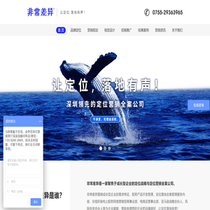 深圳品牌营销策划全案公司