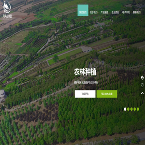 洛阳凤凰山集团