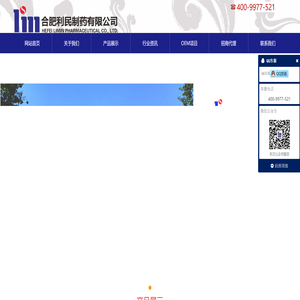 合肥利民制药有限公司