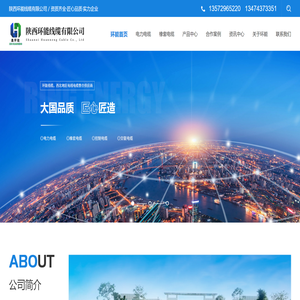 陕西国标电缆厂家