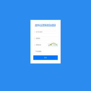 数字化运营系统