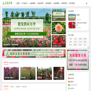 南阳艾景月季基地