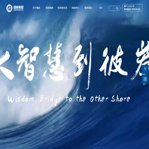 智度集团有限公司