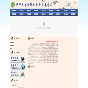 网站首页