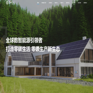 全球数智能源引领者