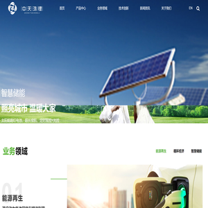 中天鸿锂清源股份有限公司