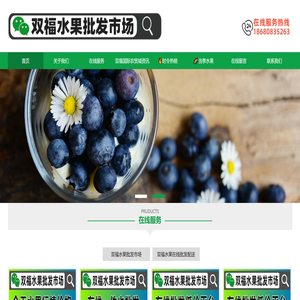 双福国际农贸城