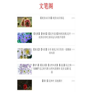文笔阁