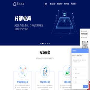 软件定制化开发服务商