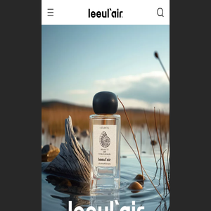 立优来│LeeulAir