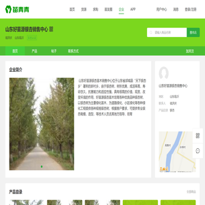 山东好苗源银杏销售中心