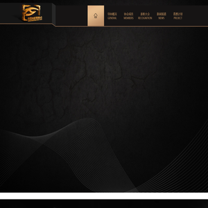 中国电影导演协会官方网站